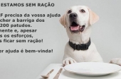 Animais do canil estão sem ração